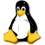 linux